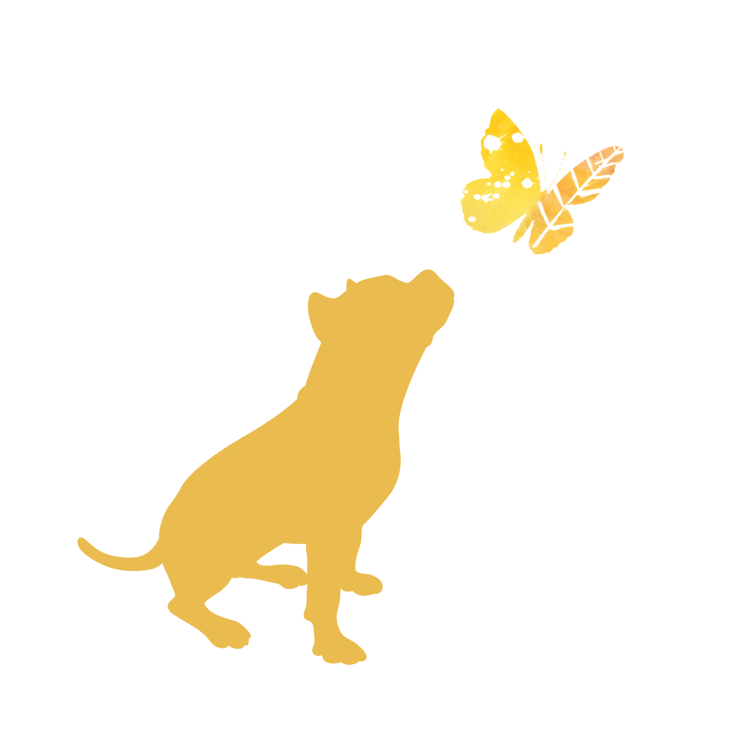 small graphic of a yellow Pitbull with a yellow and orange watercolor butterfly