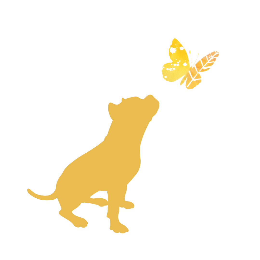 Yellow illustration of a mix breed dog playing with a yellow butterfly
