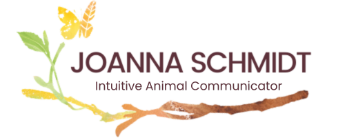 Intuitive Animal Communicator, Joanna Schmidt