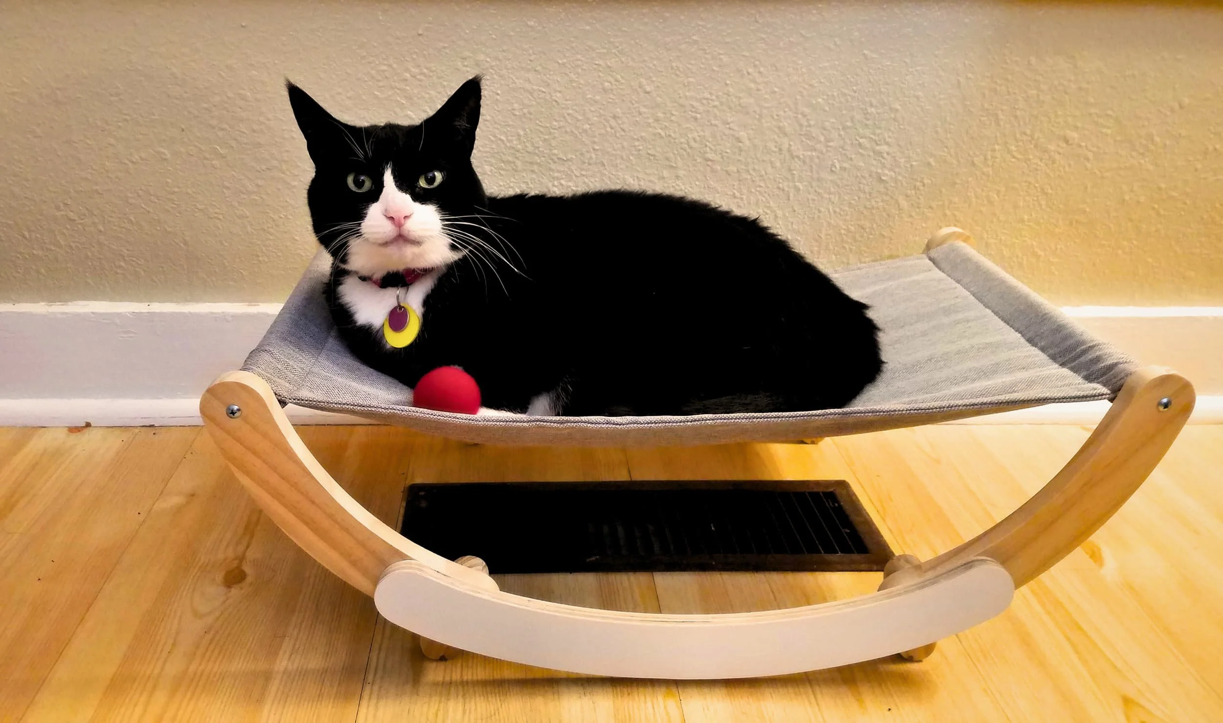 My Cat friend Miss Kitty is a direct-AF communicator who confidently meets my energetic edges with words (including swear words) and clear vibes all of which are rich in texture and strong emotions.  Girl does not mince words. ;)