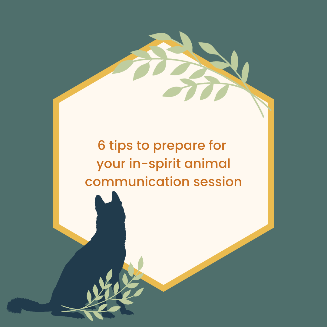 Image of a dog silhouette with the words, "6 tips to prepare for  your in-spirit animal communication session" in orange with light cream background