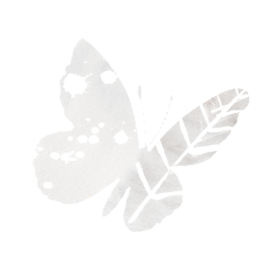 illustration of a white butterfly in flight