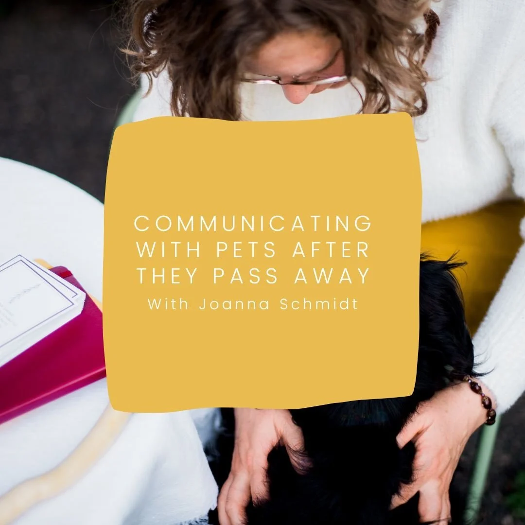 Communicating with pets after death — Intuitive Animal Communicator