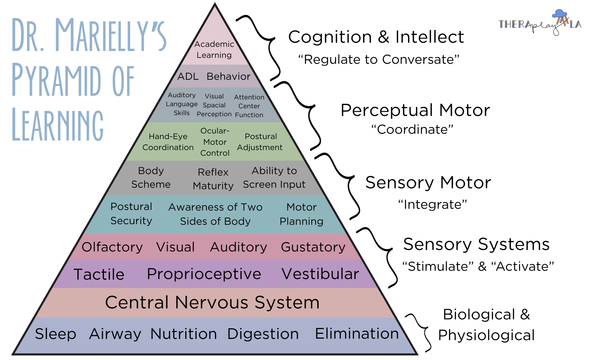 Why Motor Coordination Matters: How Movement Affects Your Child’s Learning and Attention