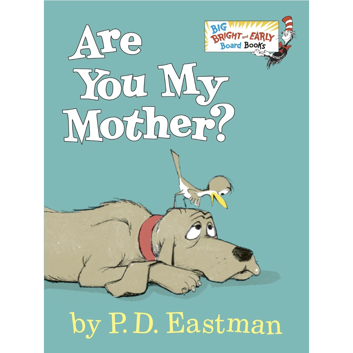 Pediatric Occupational Therapy