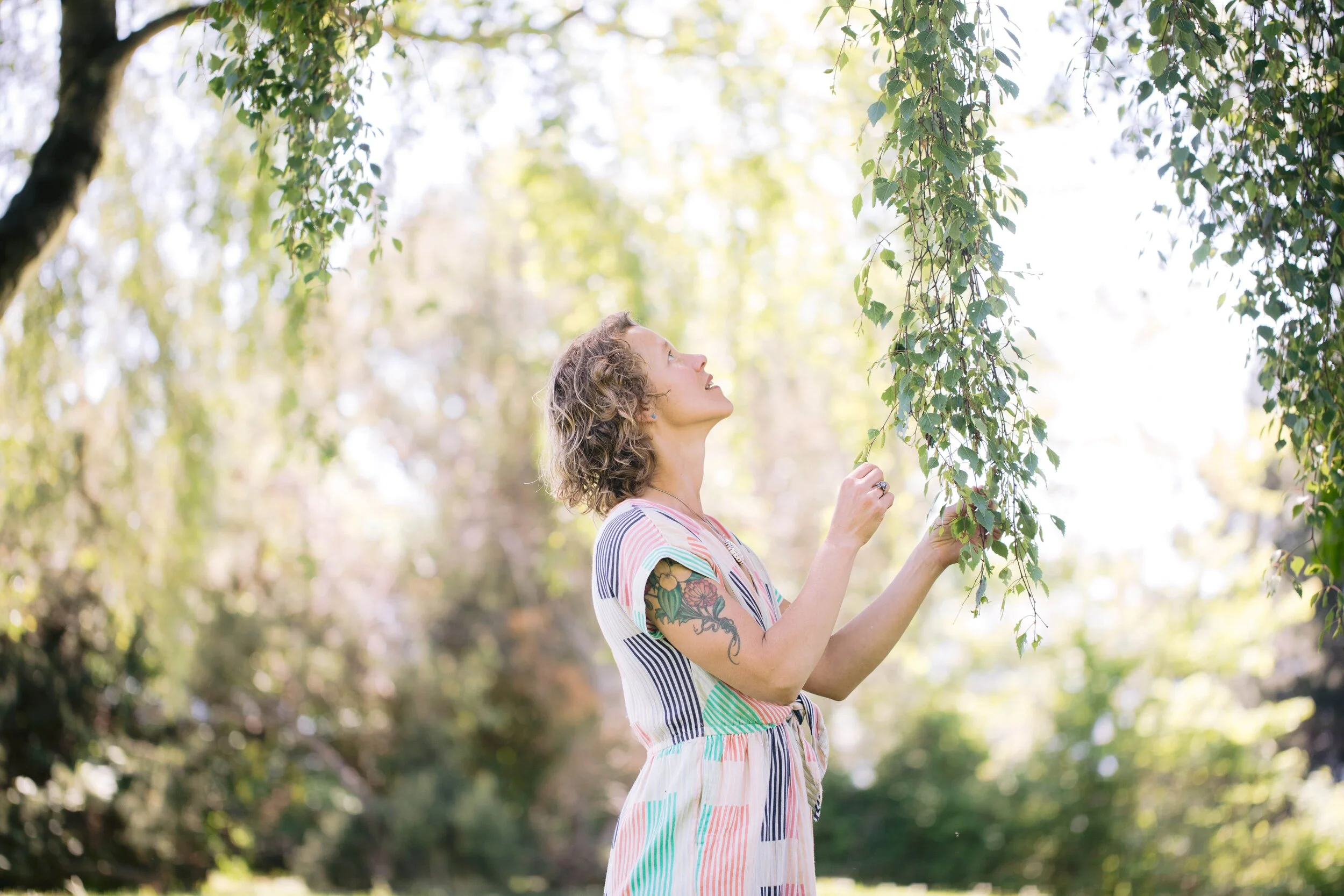 Virtual Plant Medicine 101 - August