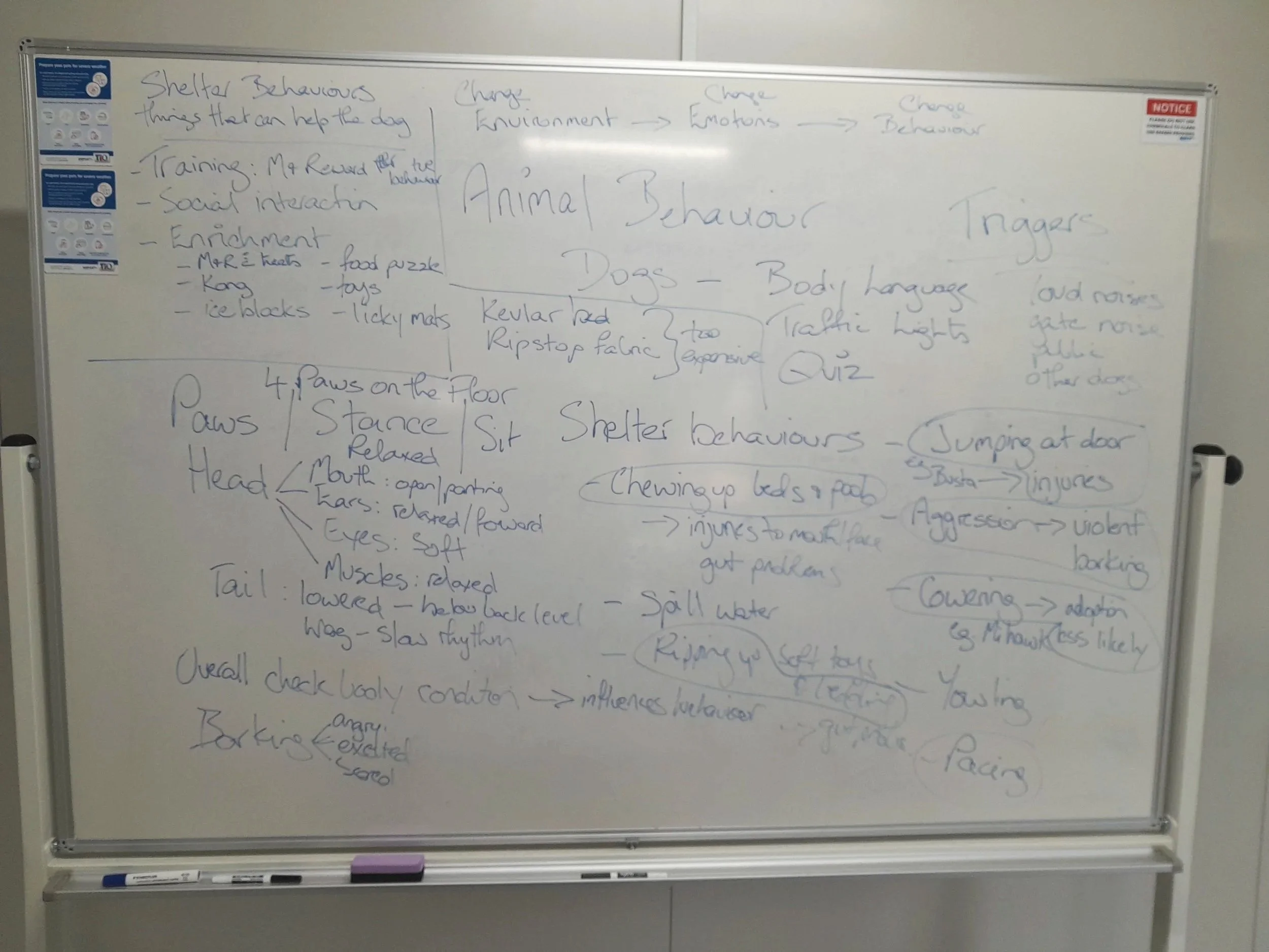Whiteboard with brainstorm notes