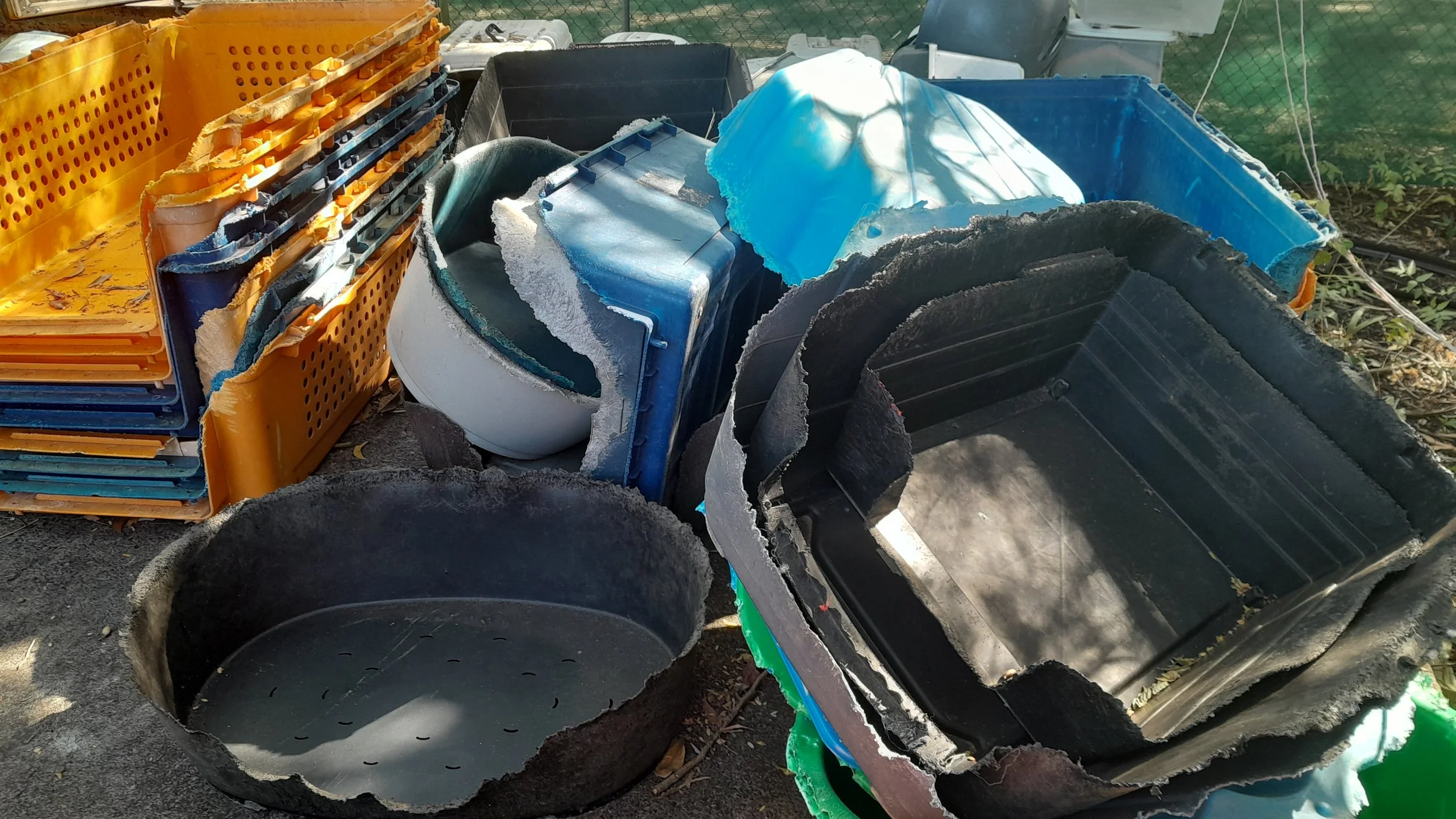 Throwing out old beds