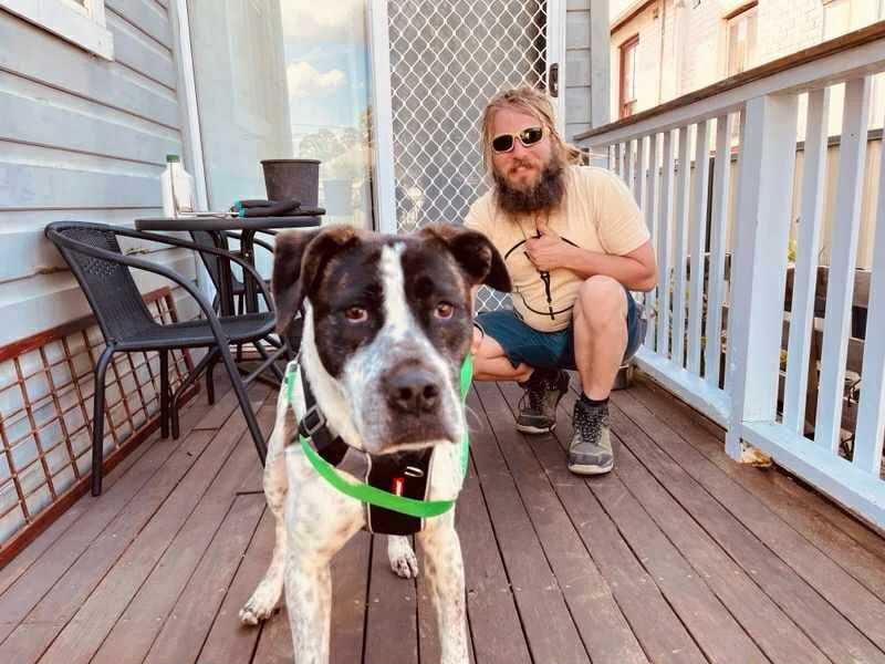Jax and Rocket home