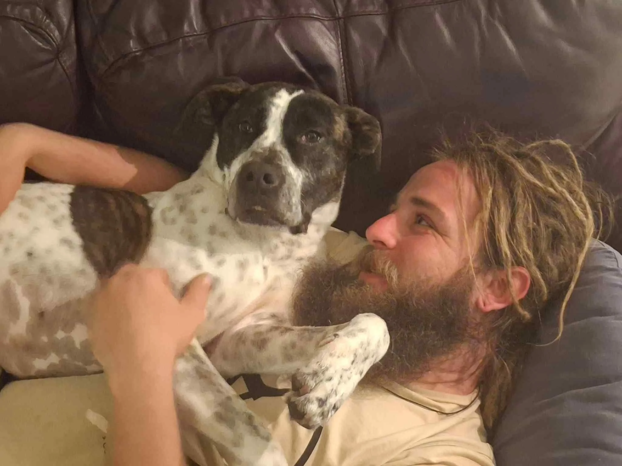 Jax and Rocket at home