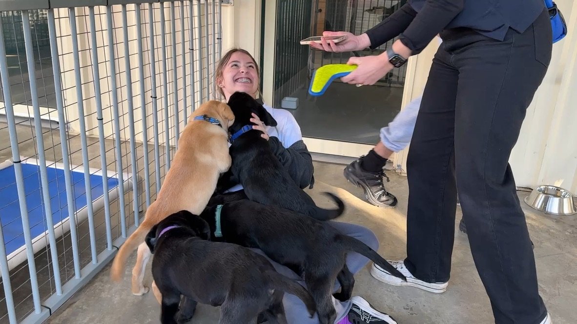 15D30AC0-4B09-4FCE-9FD9-68C595F5B081_1_105_c (1).jpeg