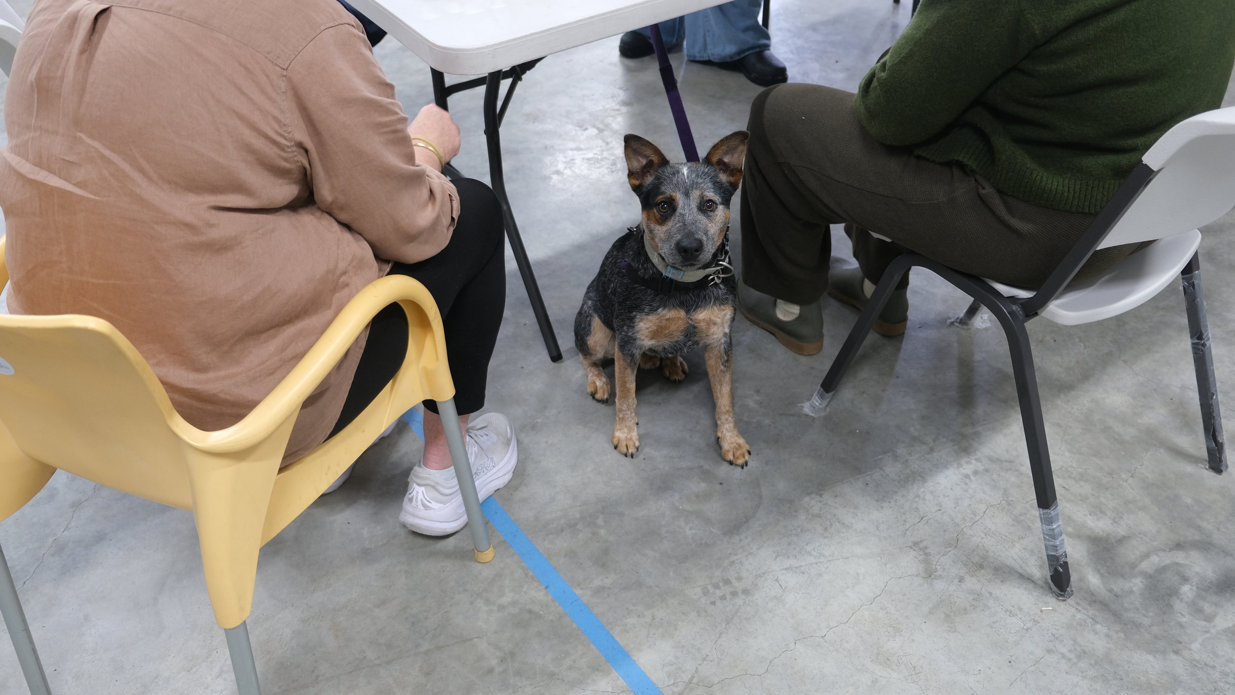 Old Friends, New Purpose