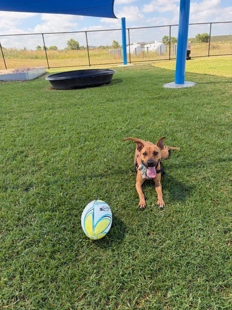 Tammy with the ball.jpg