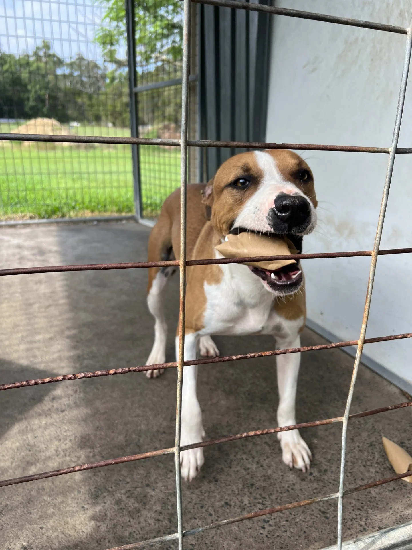 parsley toilet roll 2.jpg