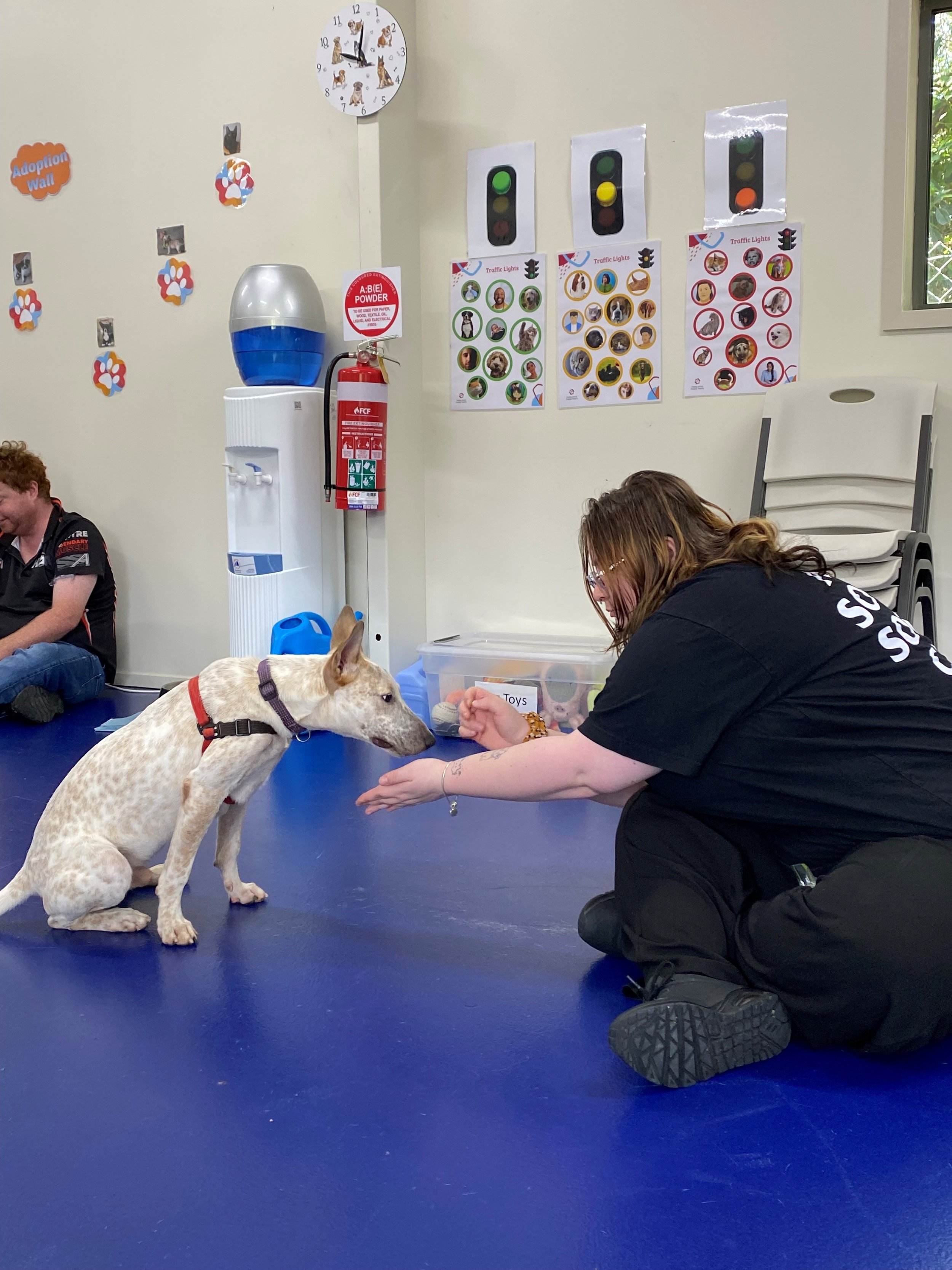 Georgina and Ringo 2.jpg