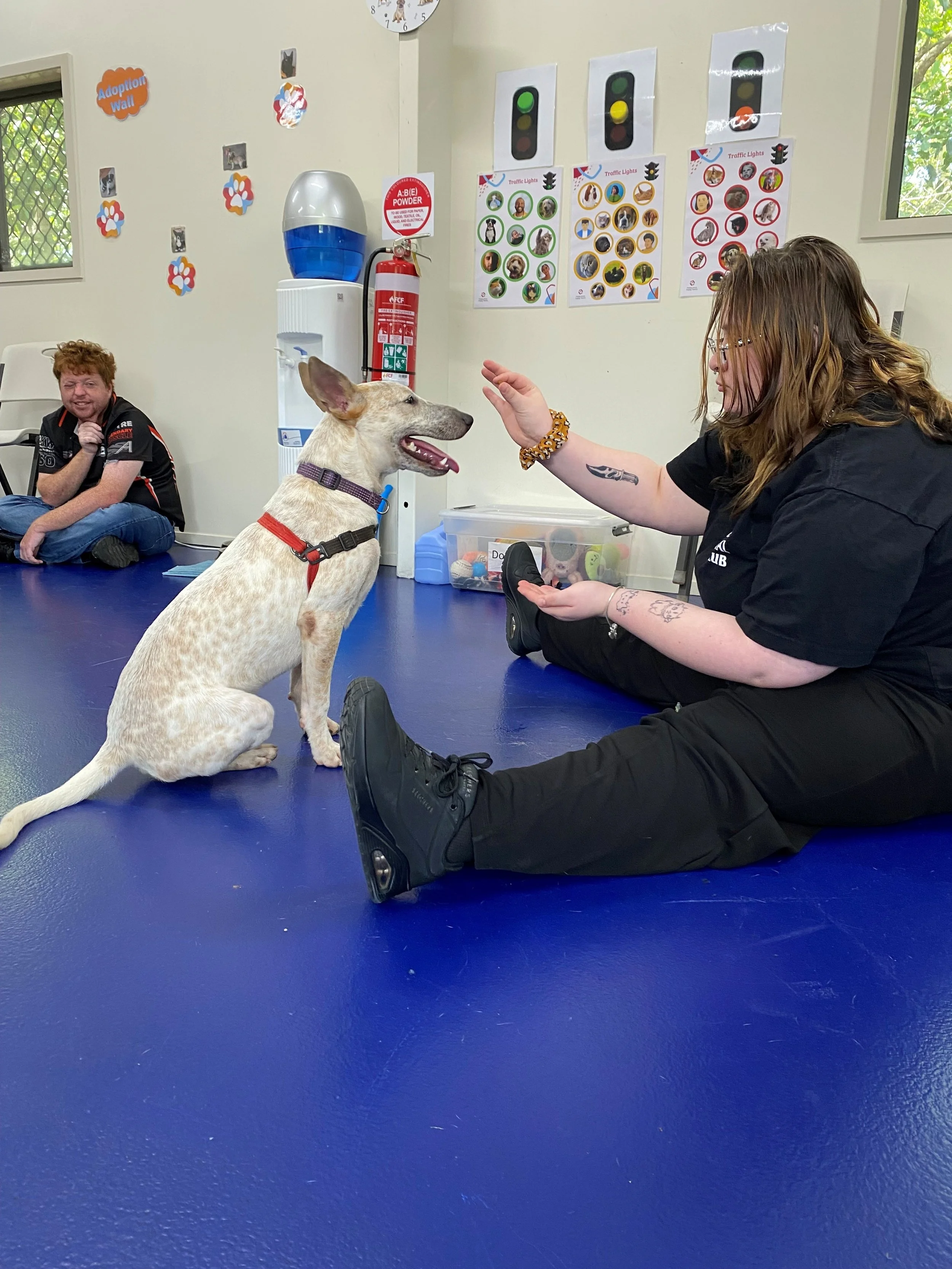 Georgina and Ringo 3.jpg