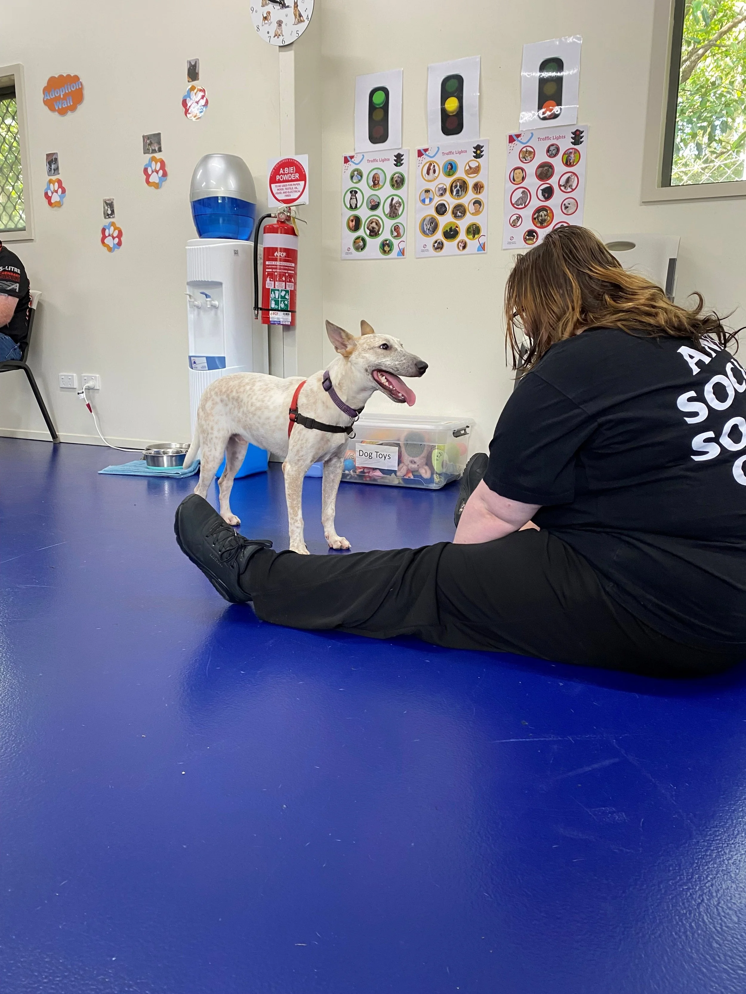 Georgina and Ringo 1.jpg