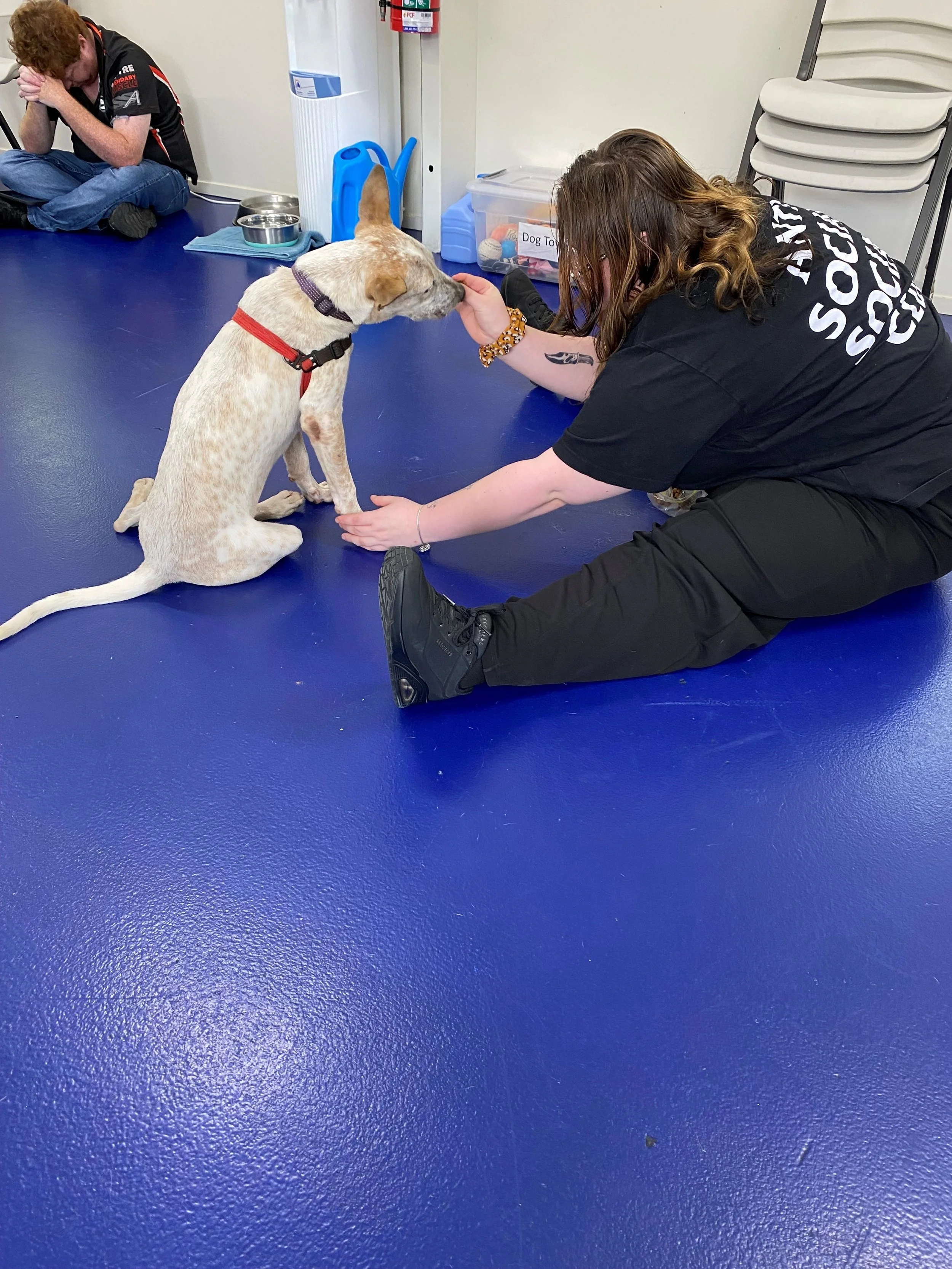 A gentle paw of encouragement