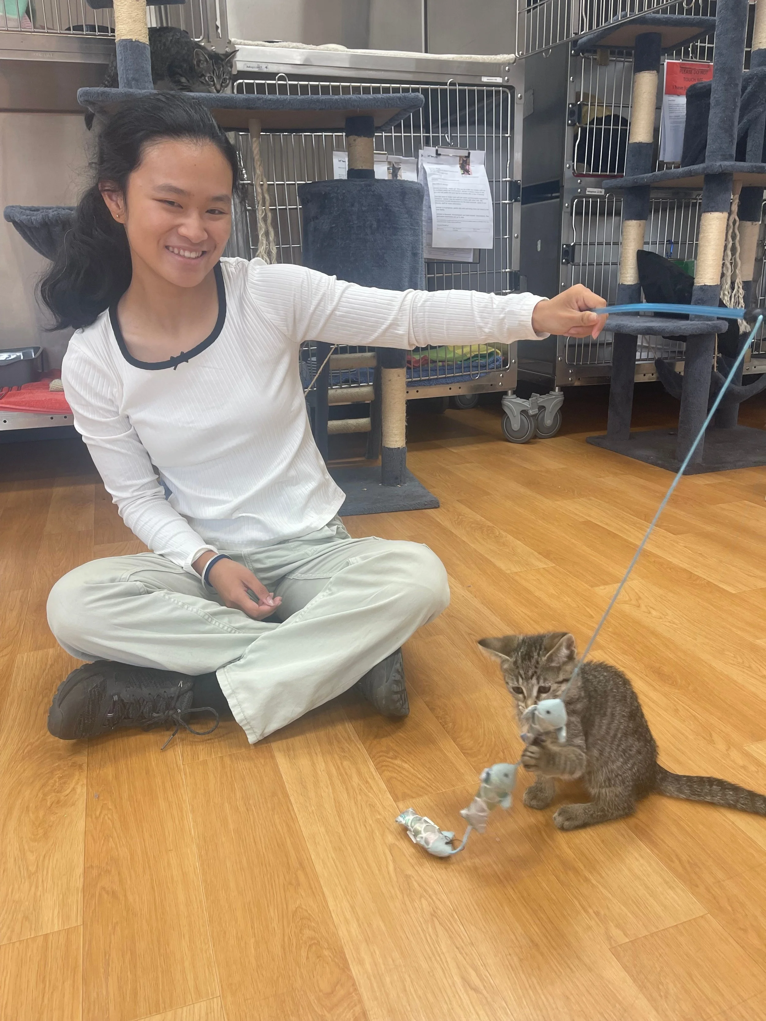 Calm Creates Confidence