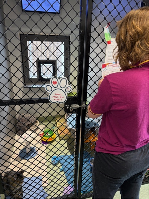 Supporting Shelter Operations with Purpose