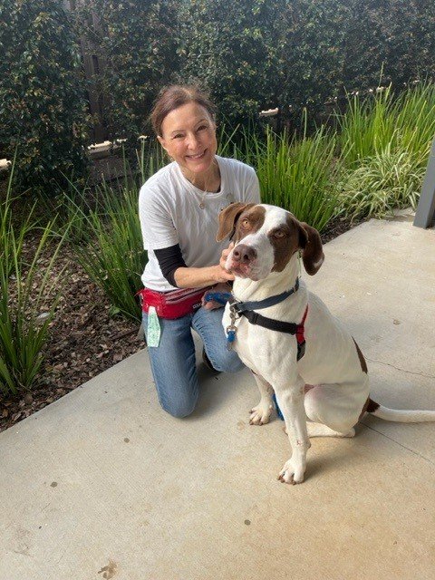 Celebrating 5 Years of Anne-Maree at HPHH Toowoomba