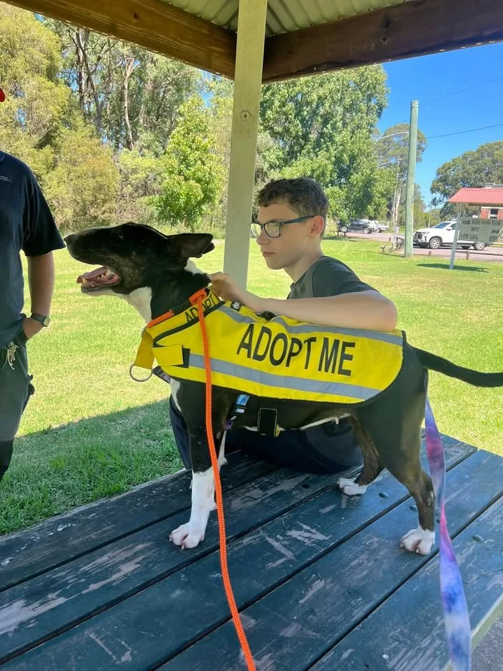 1,741 days in care, 1,741 seconds of making a big-hearted impact for Doug