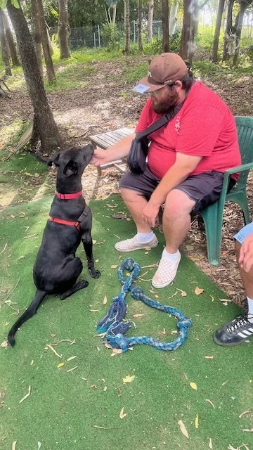 Turning puppy-Energy into Calm Connection&nbsp;