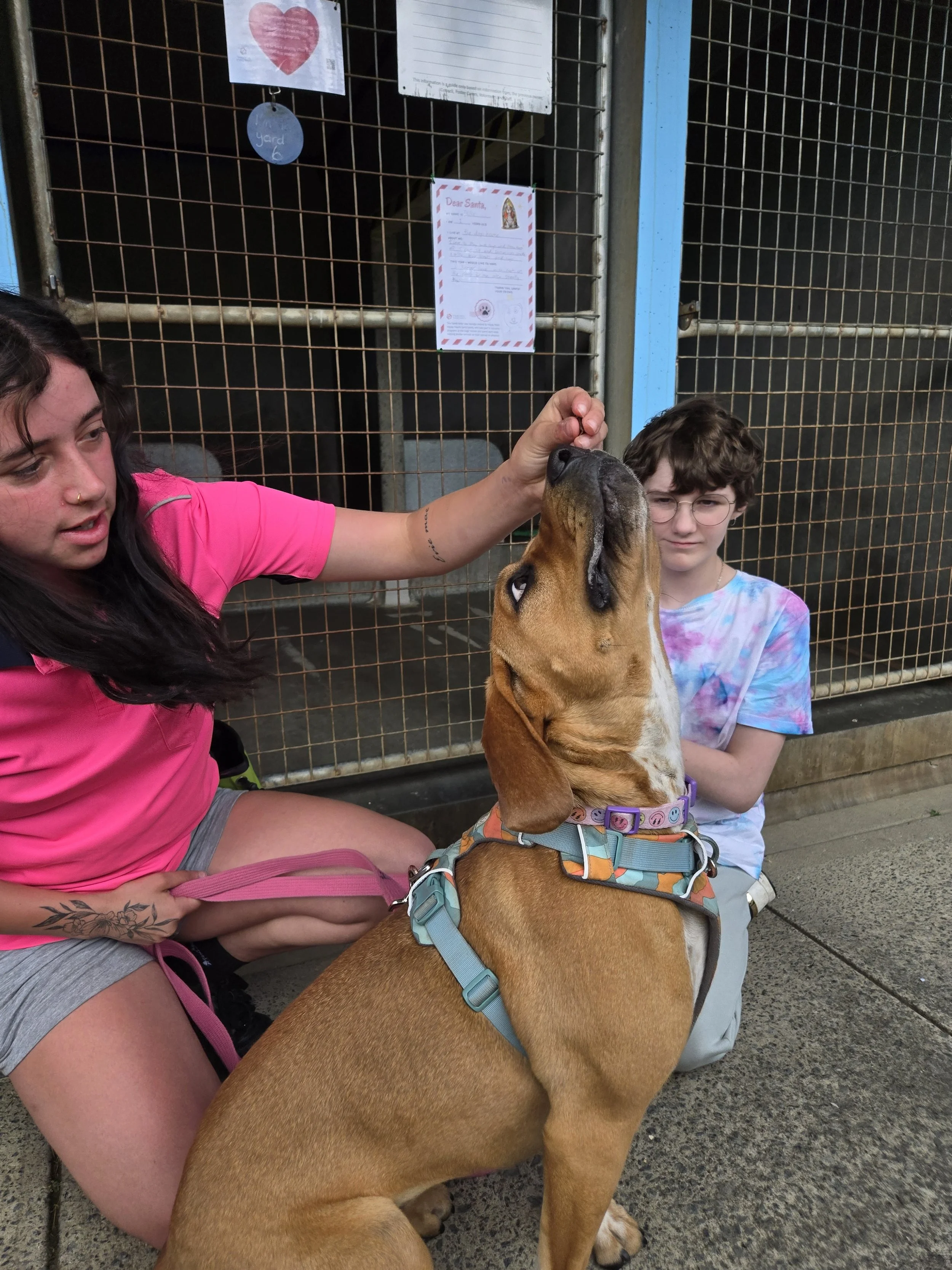 20251204_111927 (3).jpg