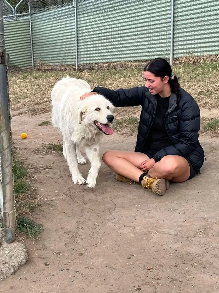 Celebrating one year, two meaningful journeys