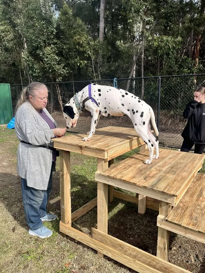 From Finding Her Way Back to Giving Back – Jacqui’s story from Participant to Volunteer