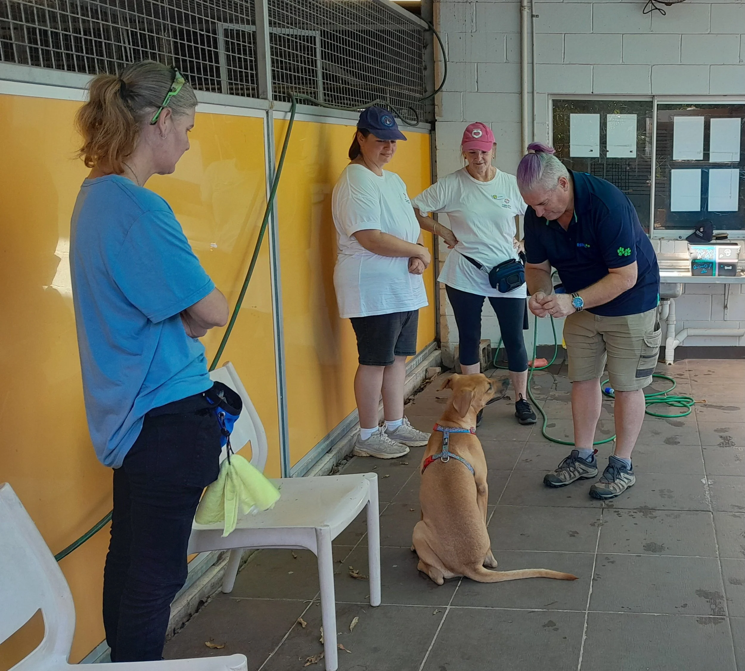David volunteering in HPHH Intensive Program Darwin.jpg