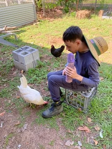 20250412 Seth & chickens 2.jpg