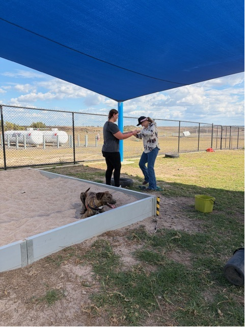 The agility yard hosts a trust course for our Explore group