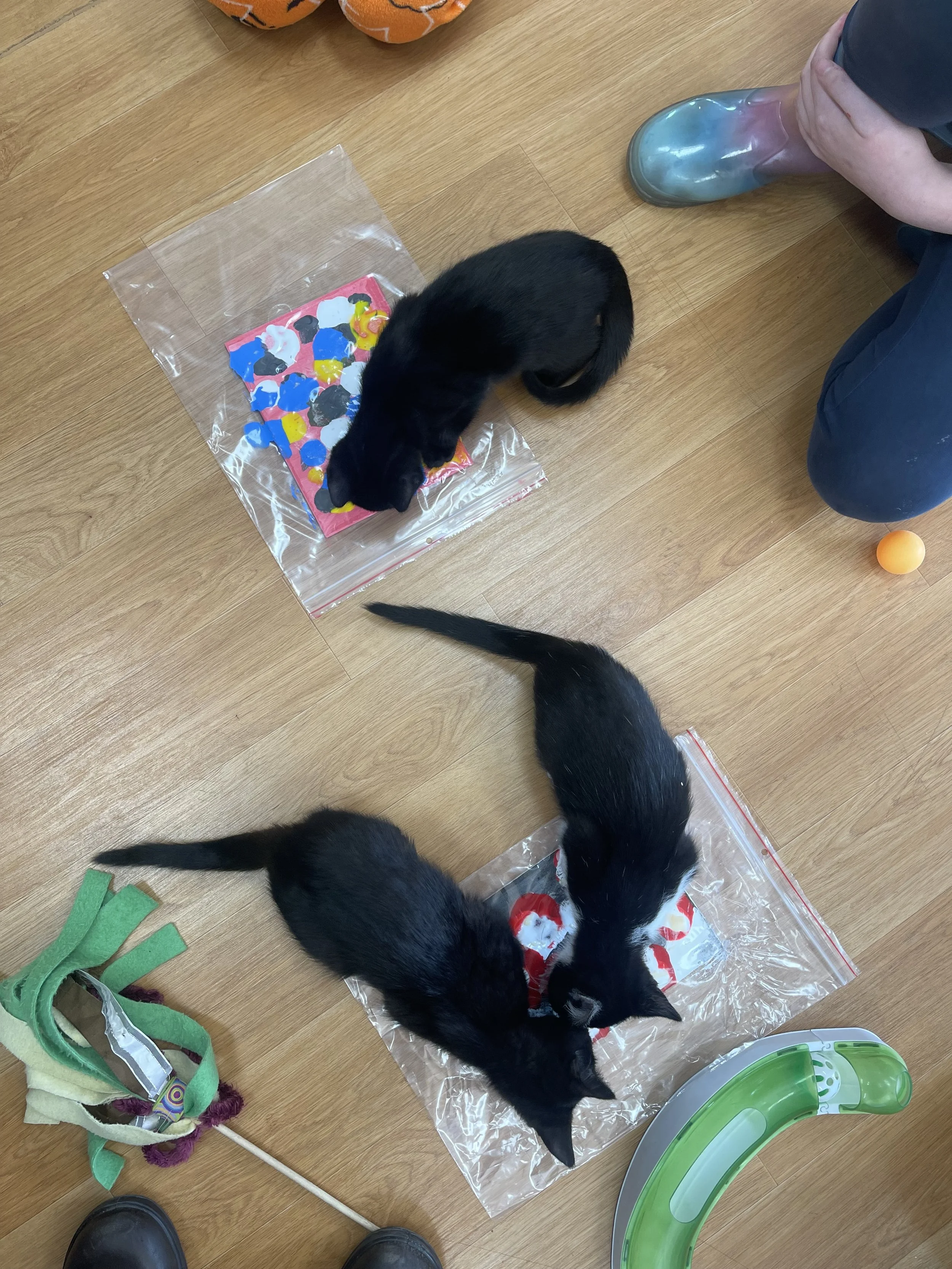 Kittens and cat art.jpeg
