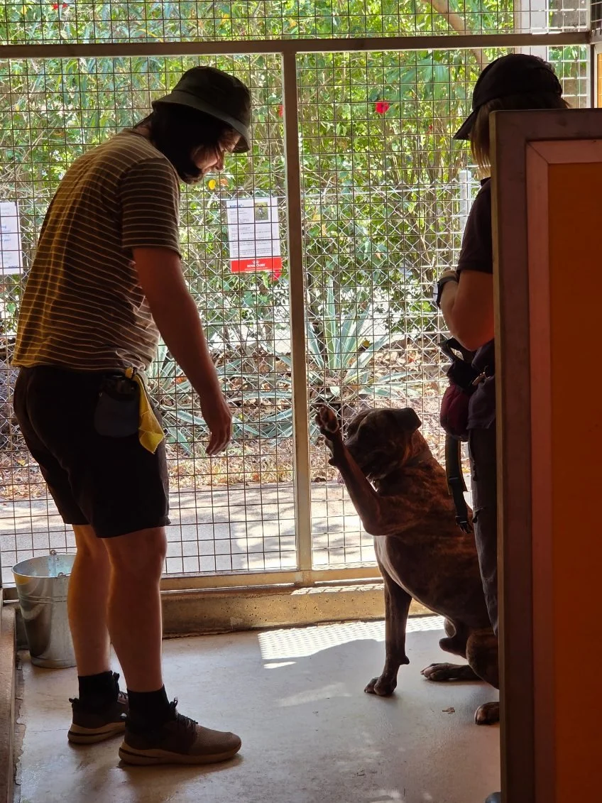 Connecting Veterans in the Top End