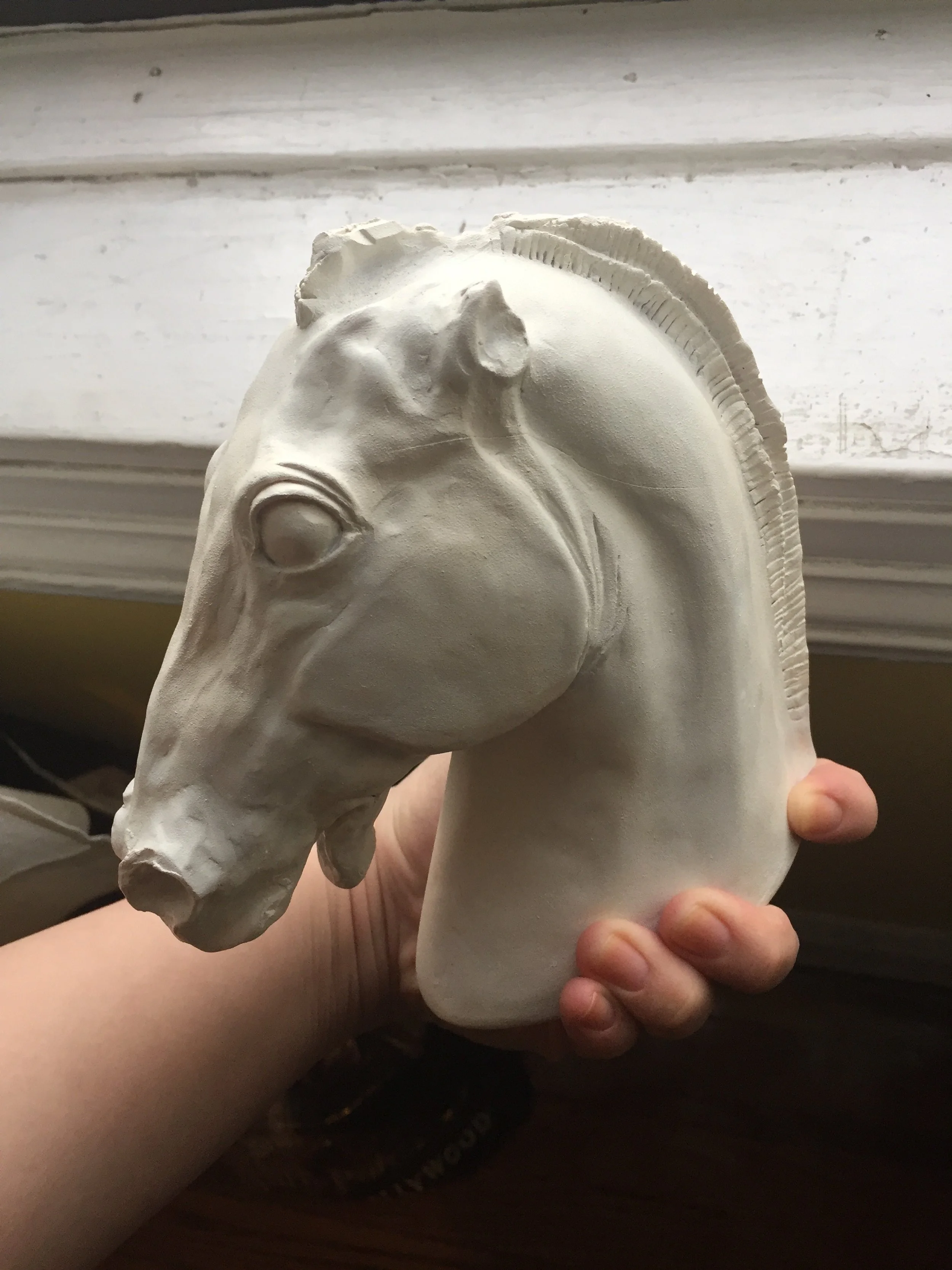 horse of selene study 3.JPG