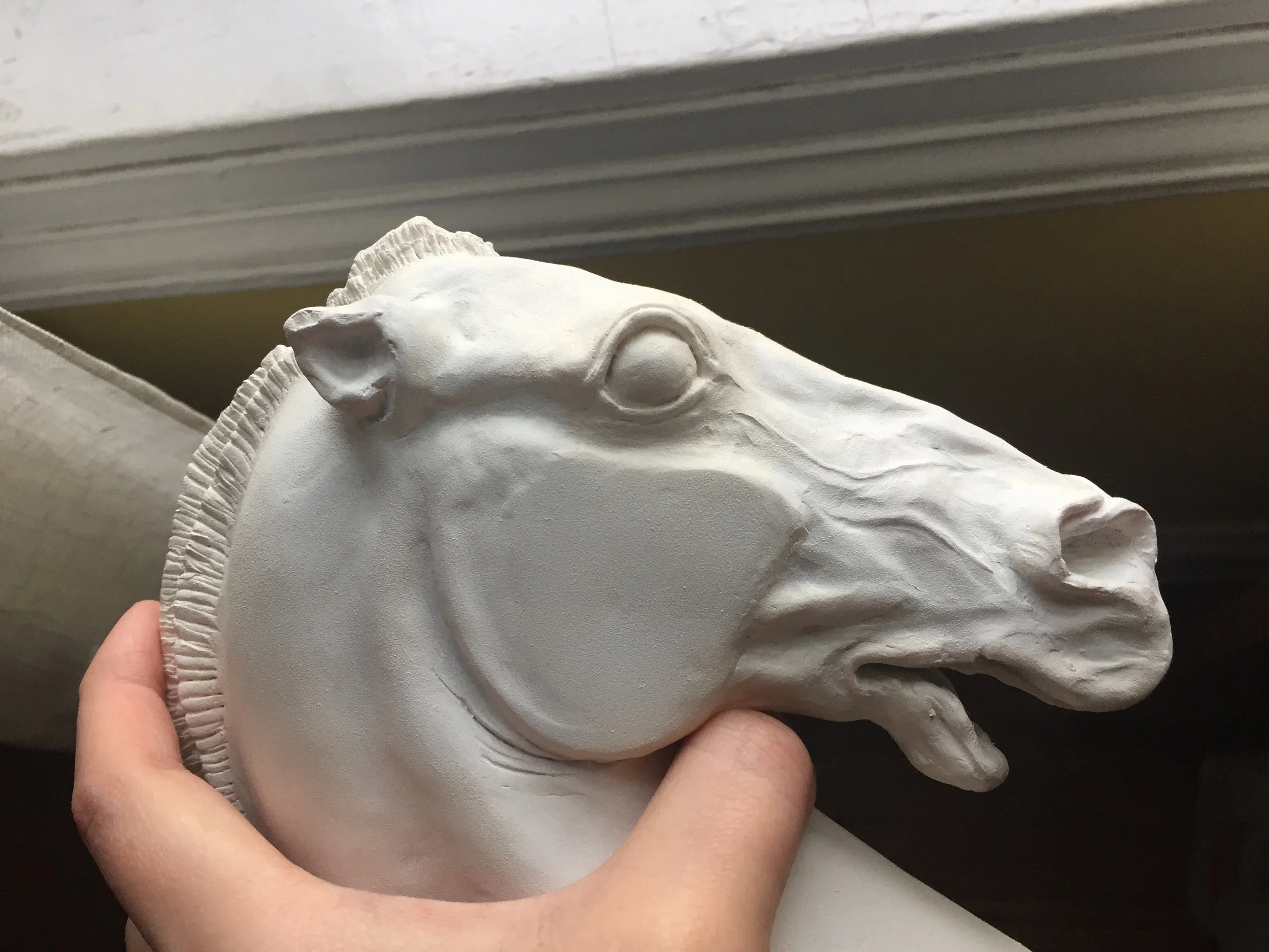 horse of selene study 1.JPG