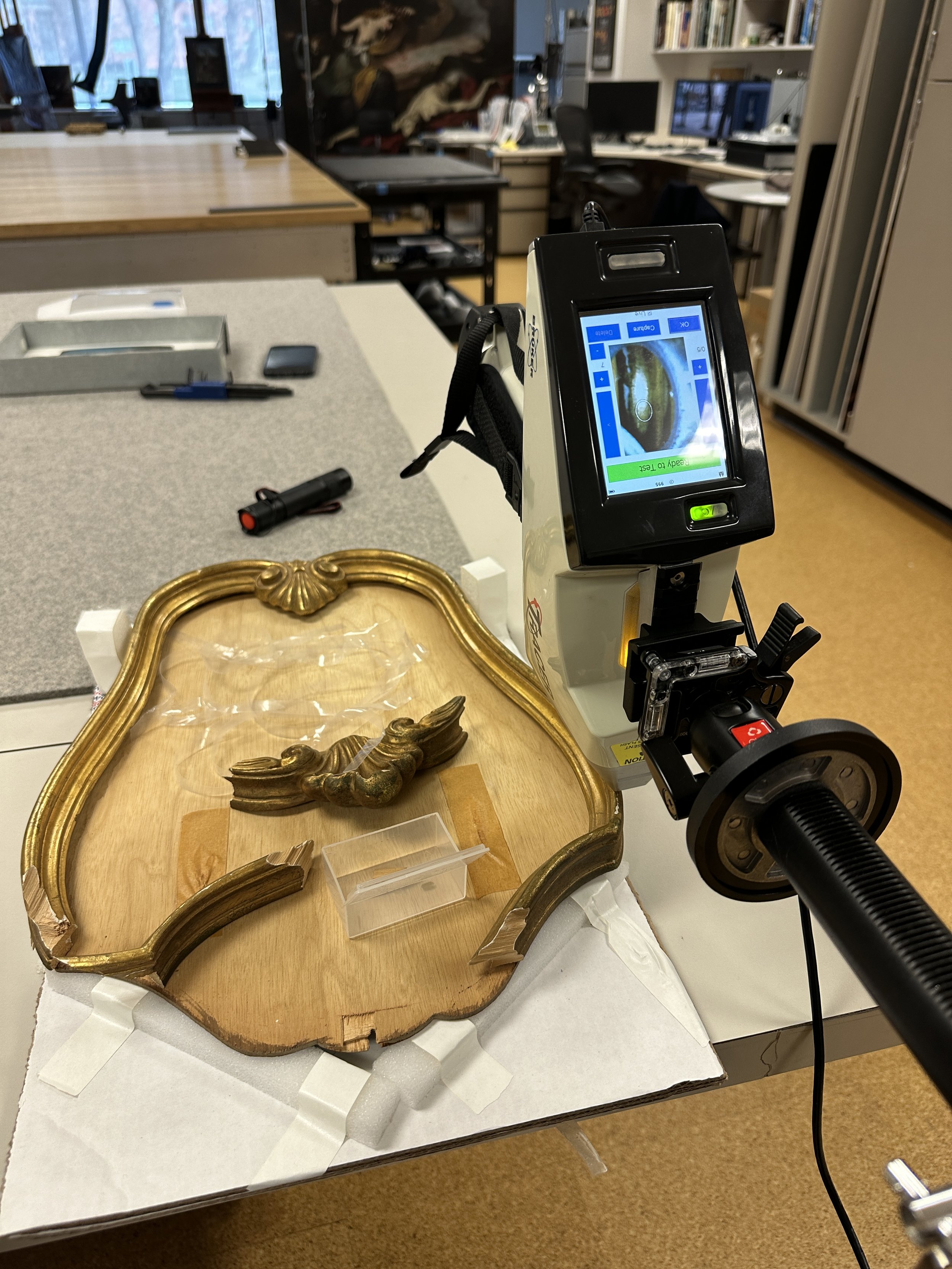 Using a handheld XRF machine to determine the type of gilding used. (Photo: Jennifer Kim)