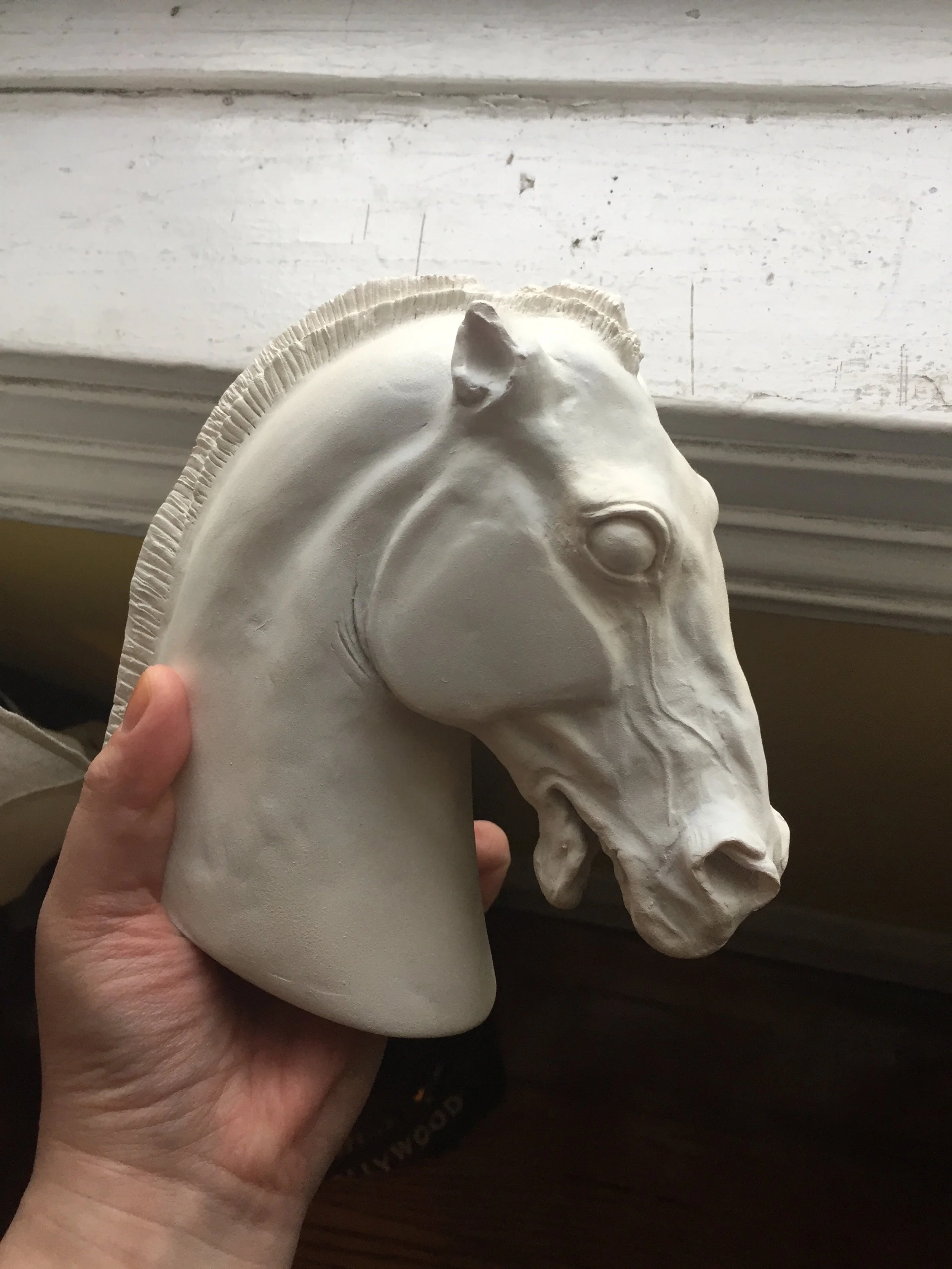 horse of selene study 4.JPG