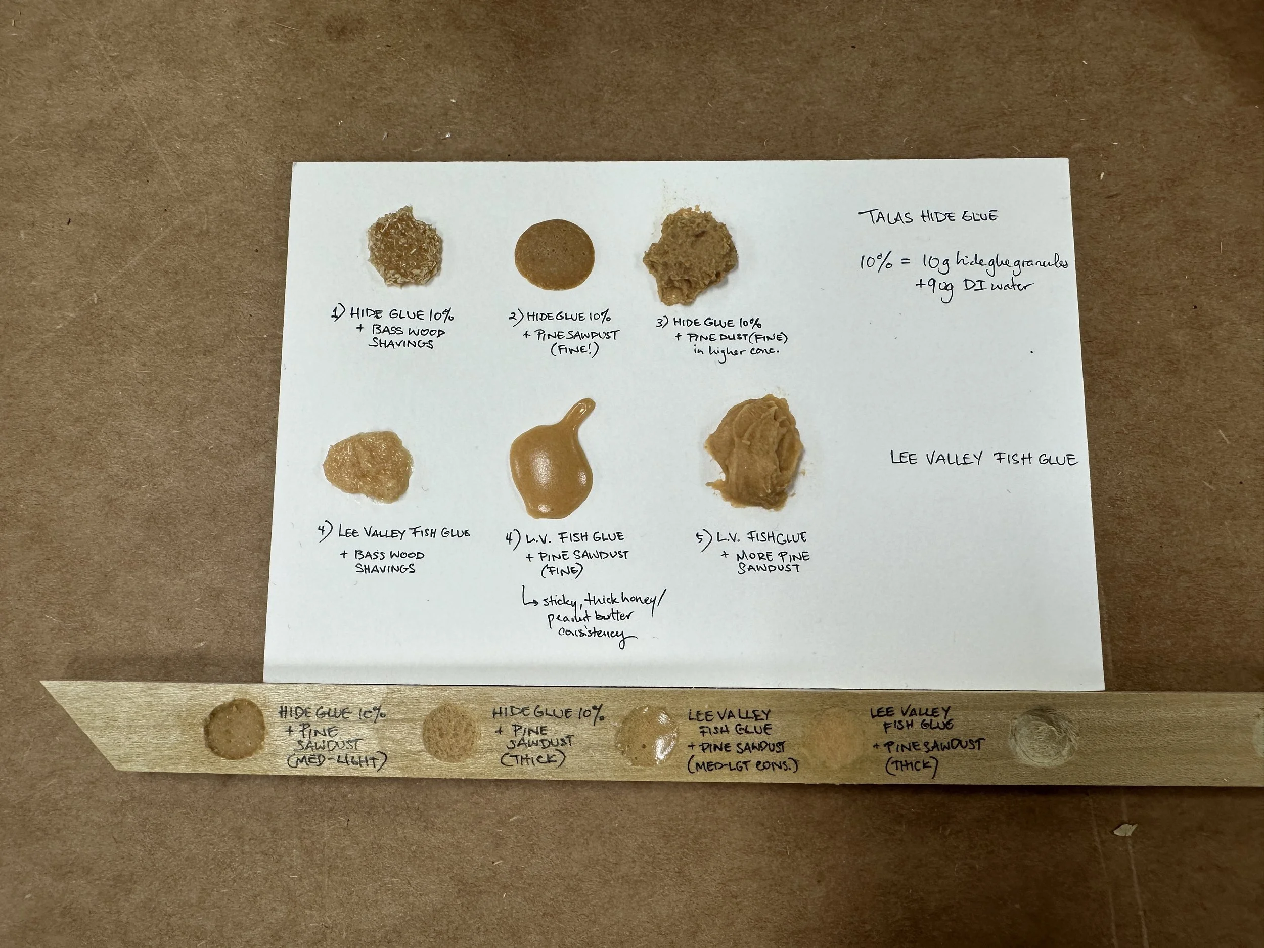 First set of sample cards and wells of bulked hide and fish glues. (Photo: Jennifer Kim)
