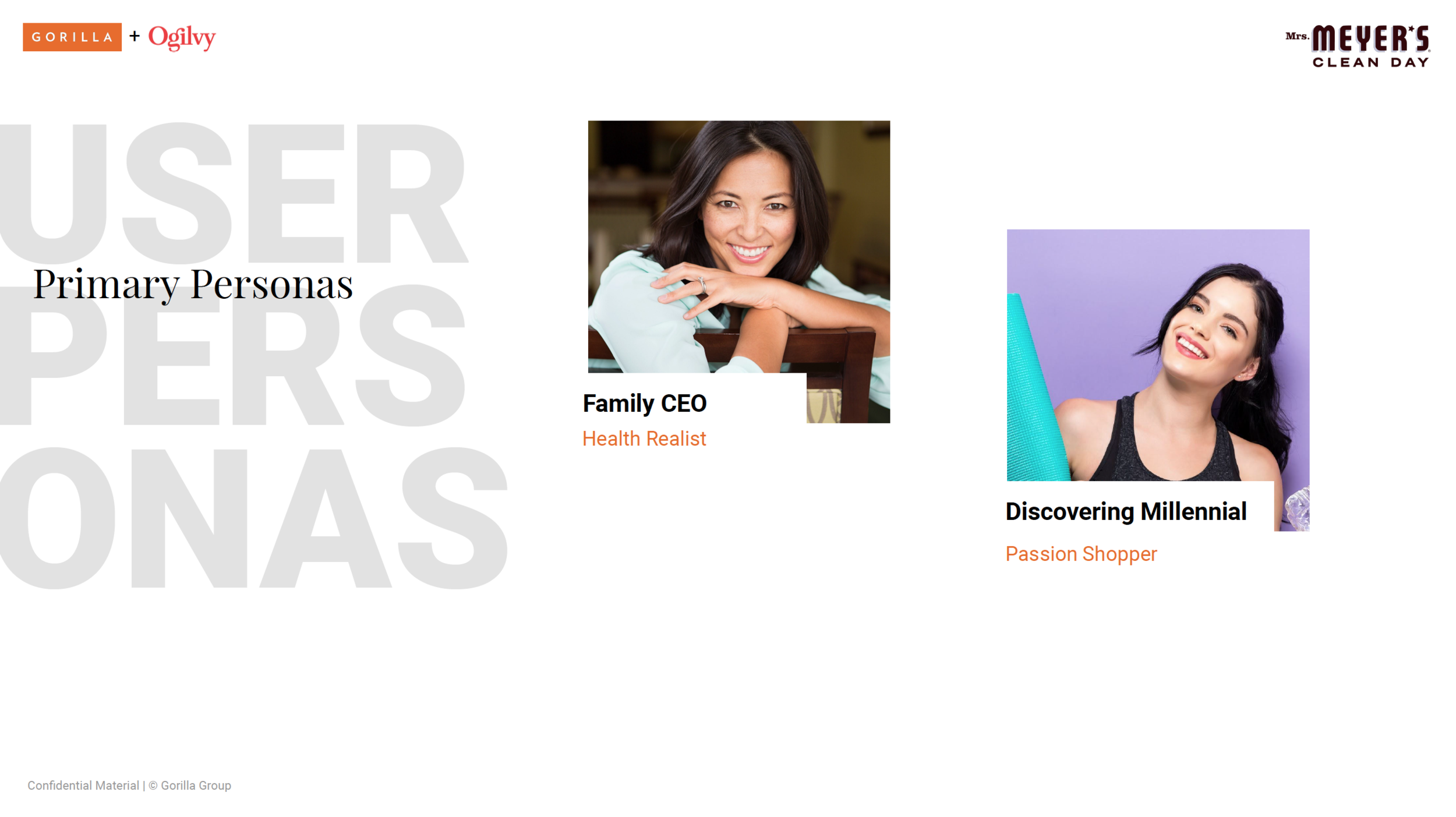 Sample Slide: Primary Persona