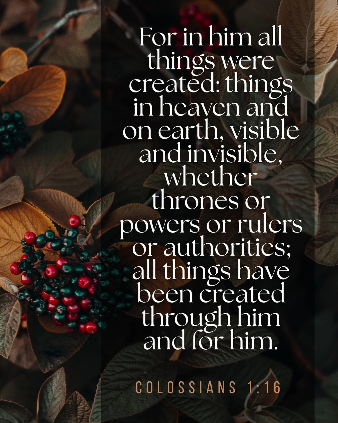 Happy Sunday, everyone ๐๐ป♥๏ธ
#colossians116 #godisgood #solideogloria