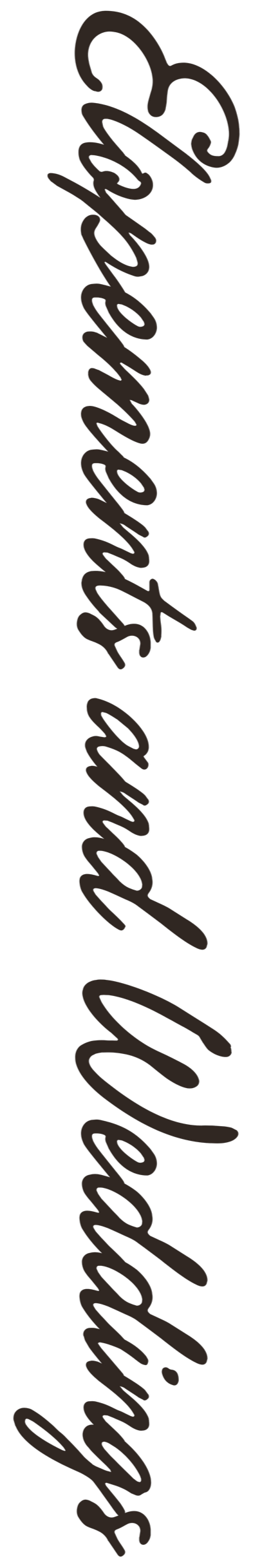 Elopements and Weddings