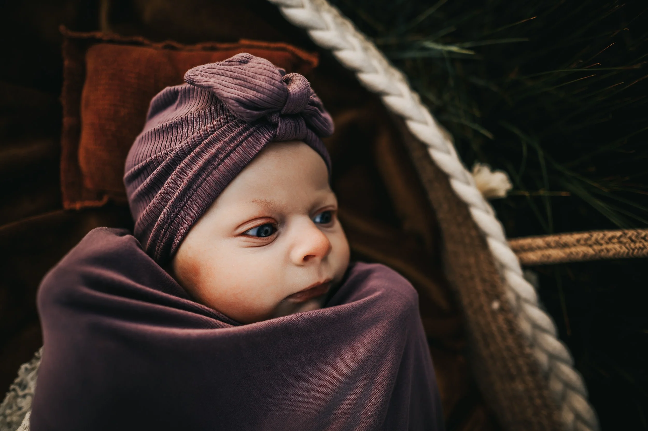 Parents snuggled close with newborn daughter during Ute Valley Park session.