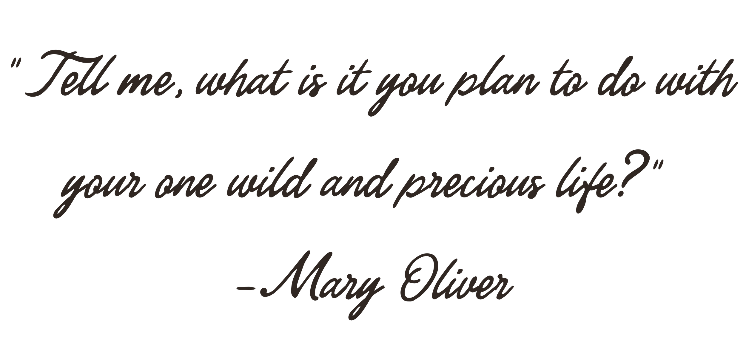 Tell me, what is you plan to do with your one wild and precious life? -Mary Oliver