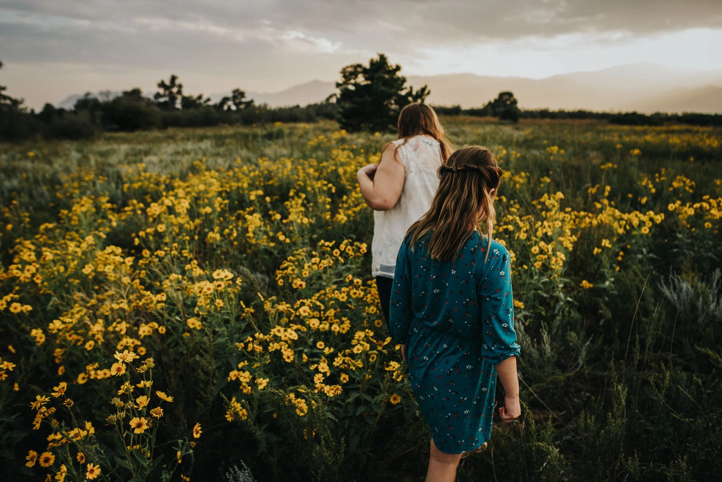 Two sisters walking through a field of yellow wildflowers in summer, one in teal dress, one in cream, Colorado family photography.