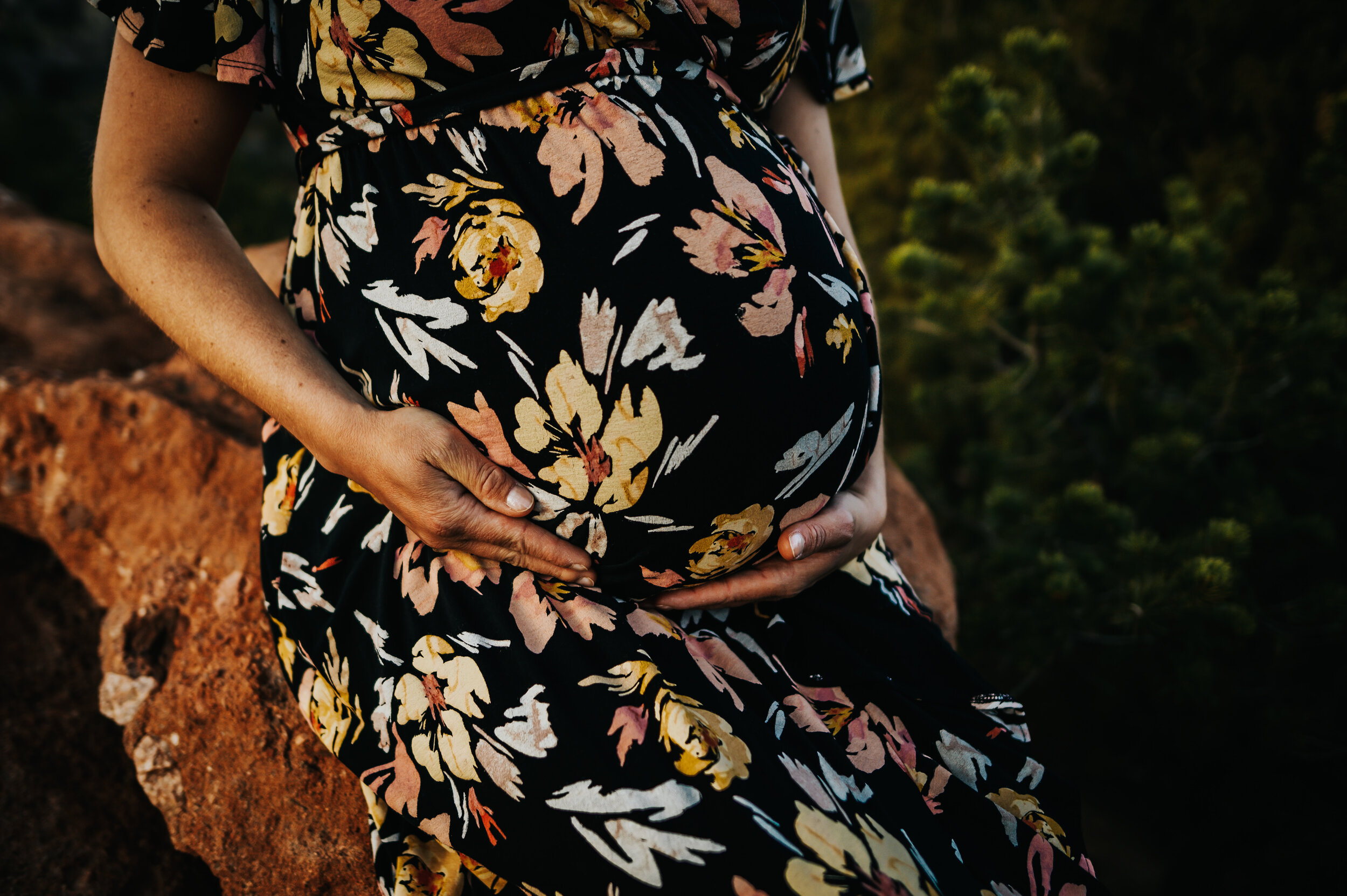 Andrea Grimm Maternity Family Session Colorado Springs Sunset Garden of the Gods Wild Prairie Photography-14-2020.jpg