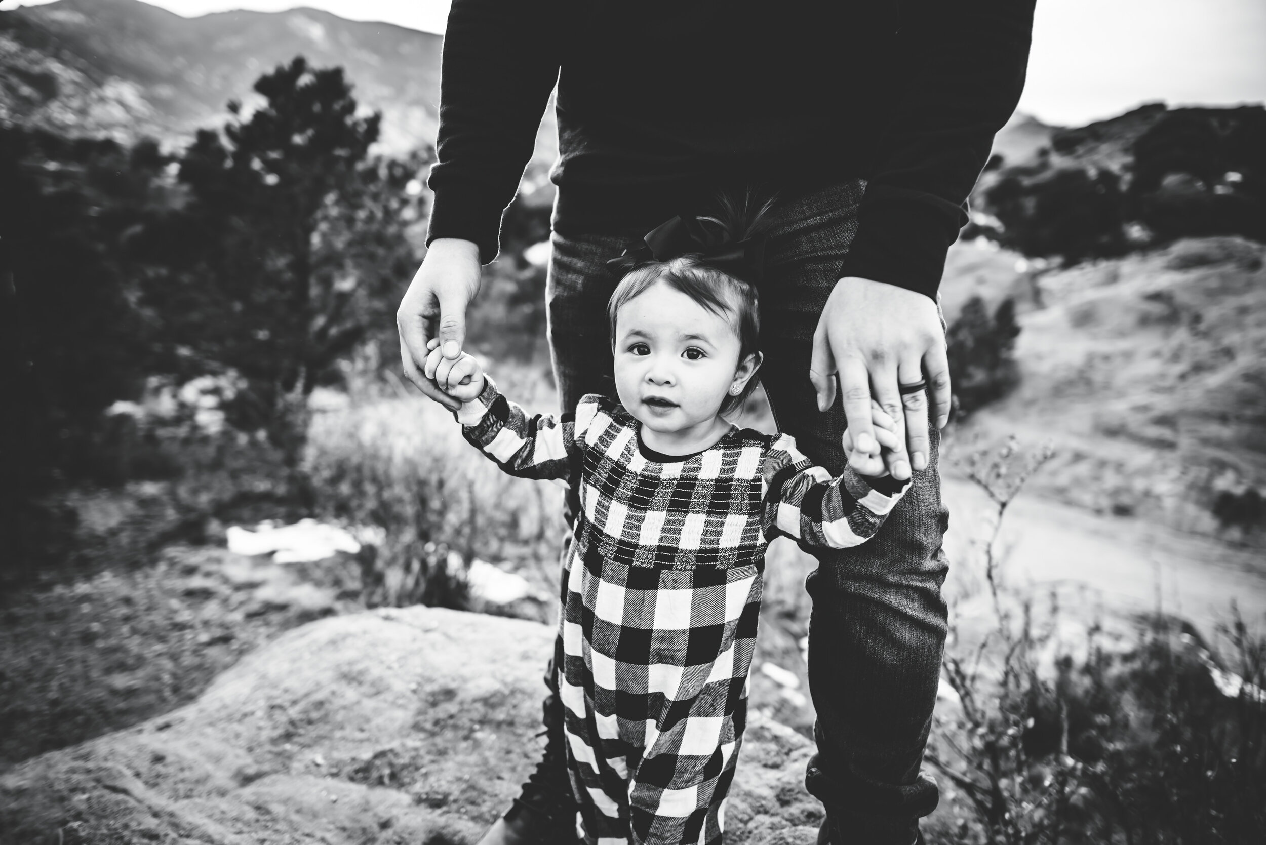 Lori Collins Extended Family Session Colorado Springs Sunset Garden of the Gods Wild Prairie Photography-1-2021.jpg