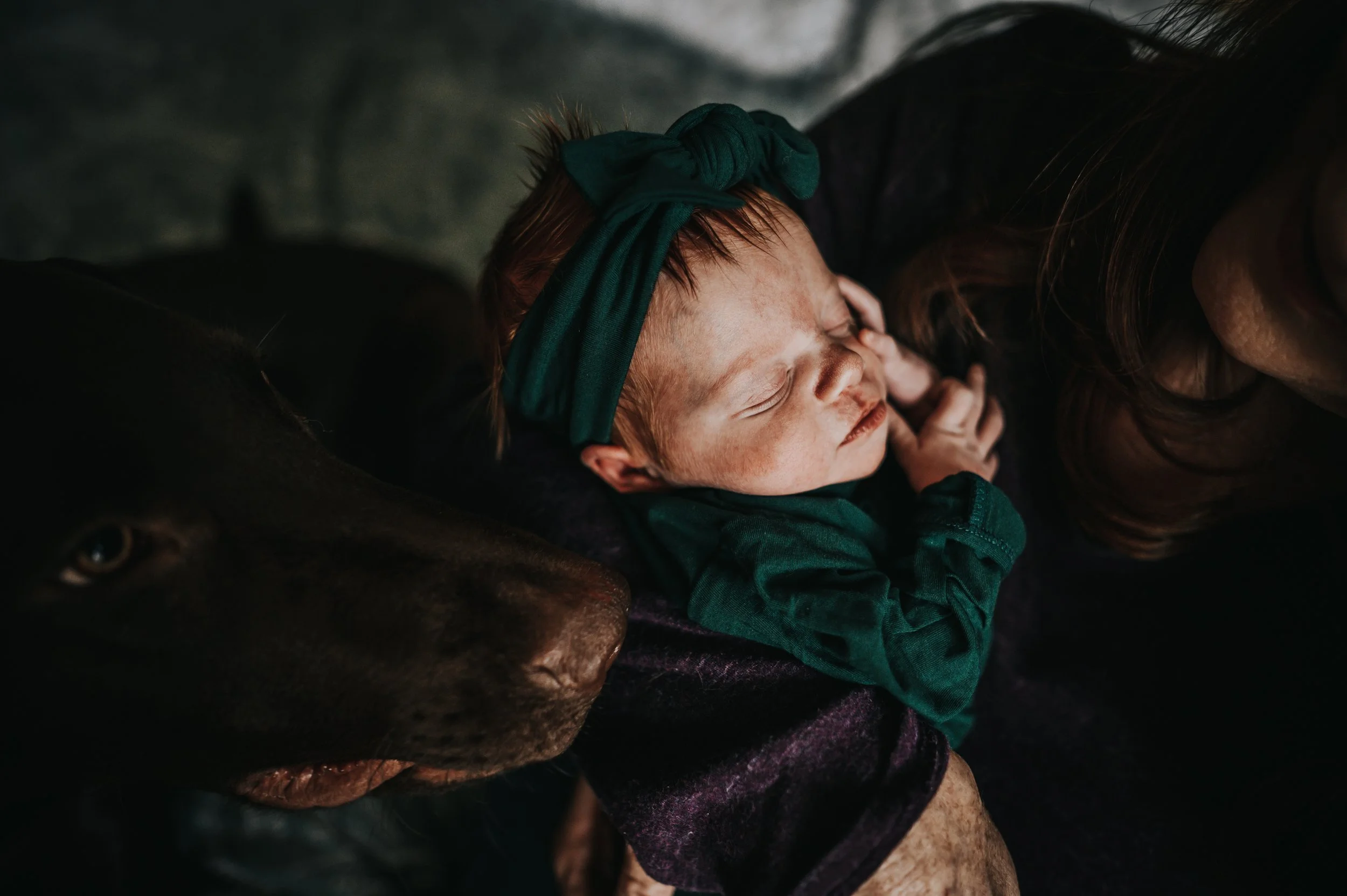 Mother holding baby during lifestyle newborn session at home in Colorado Springs.