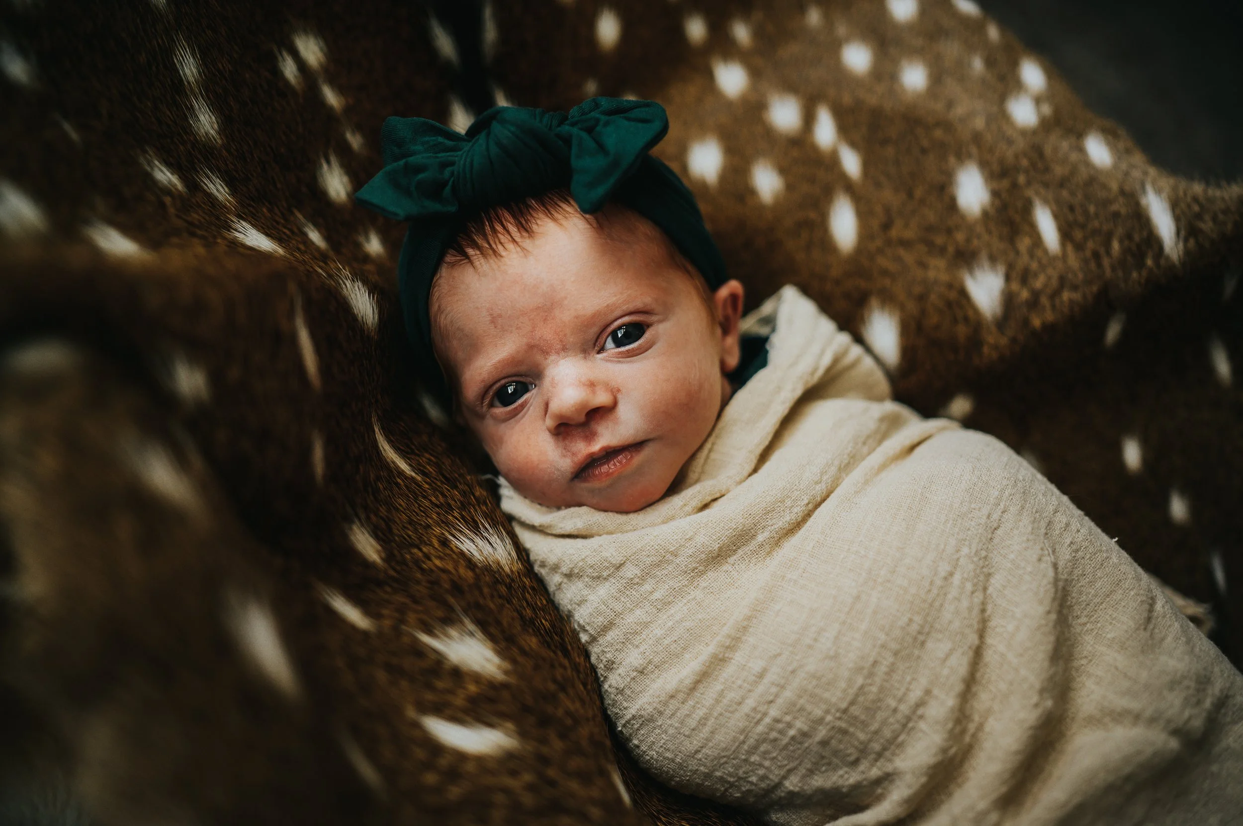 Baby Sawyer during in-home newborn session.